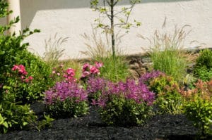 Landscape maintenance and planting