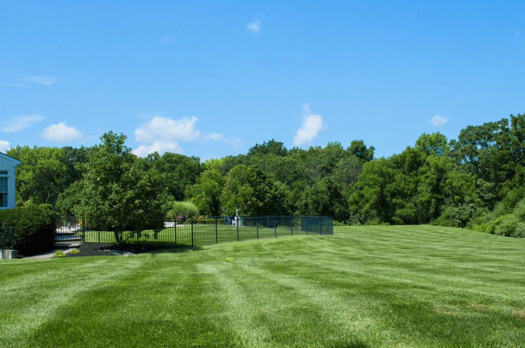 lawncare | landscape maintenance princeton nj