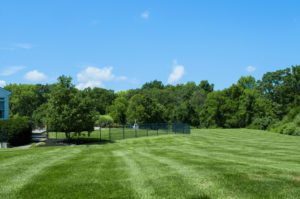 lawn maintenance princeton nj