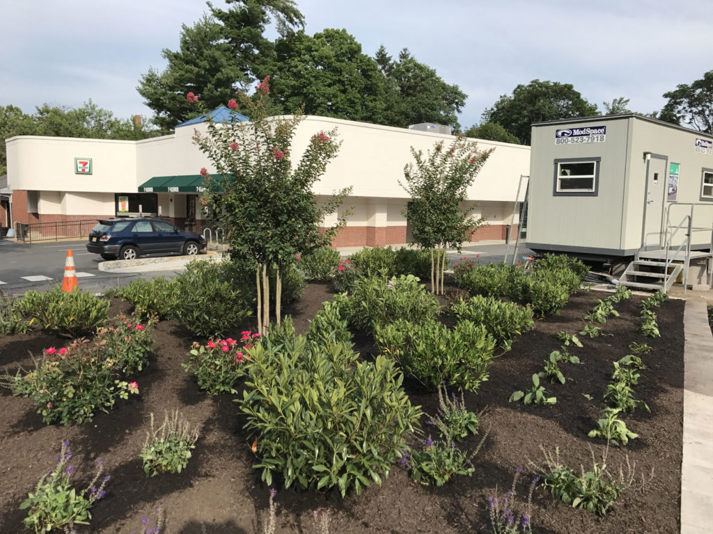 Princeton landscaping project on Nassau street