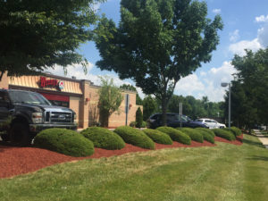 Commercial landscape design and maintenance at Wendys