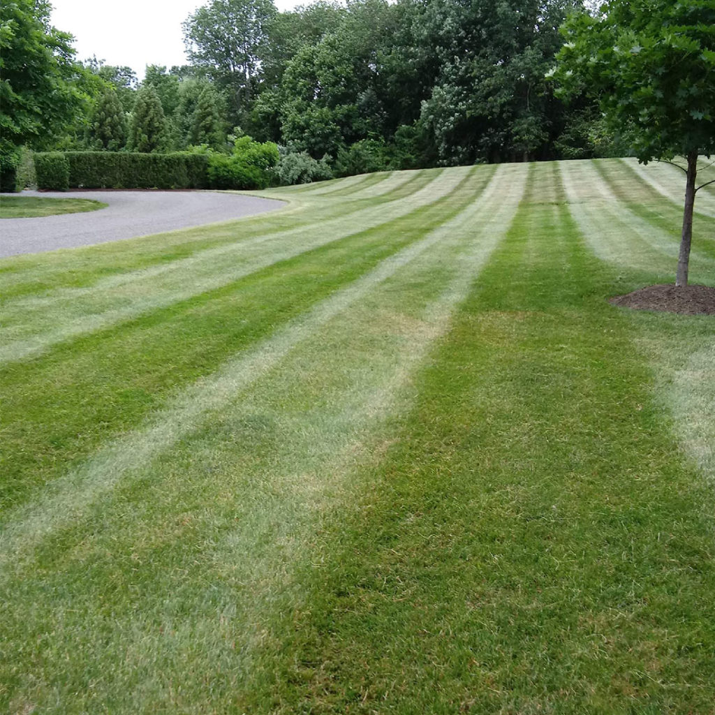 Landscape maintenance in Pennington, Howell, Princeton NJ