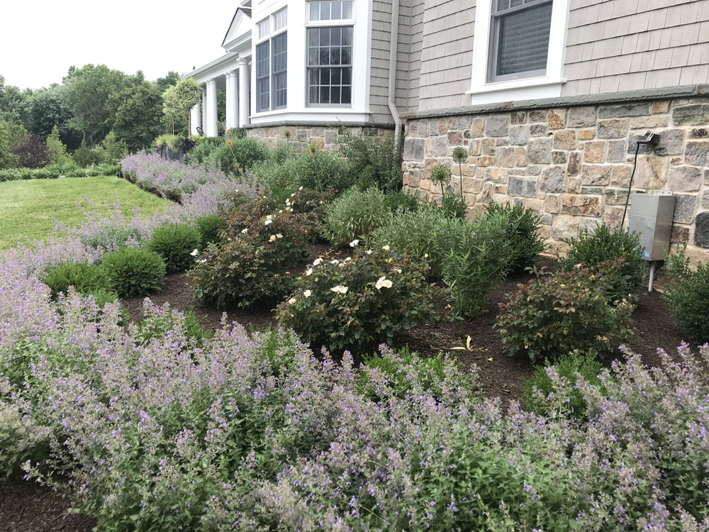 landscaping pennington nj