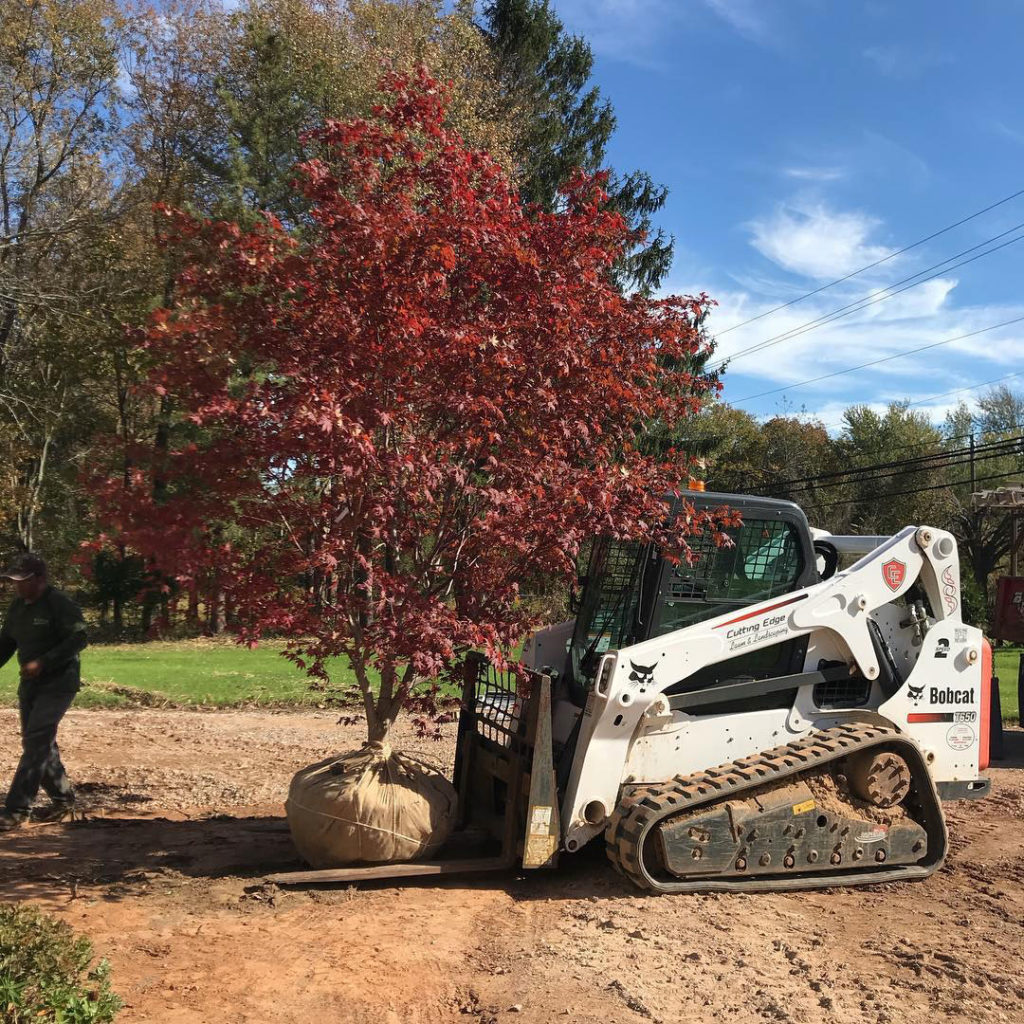 Planting in Hopewell. Princeton, and Pennington