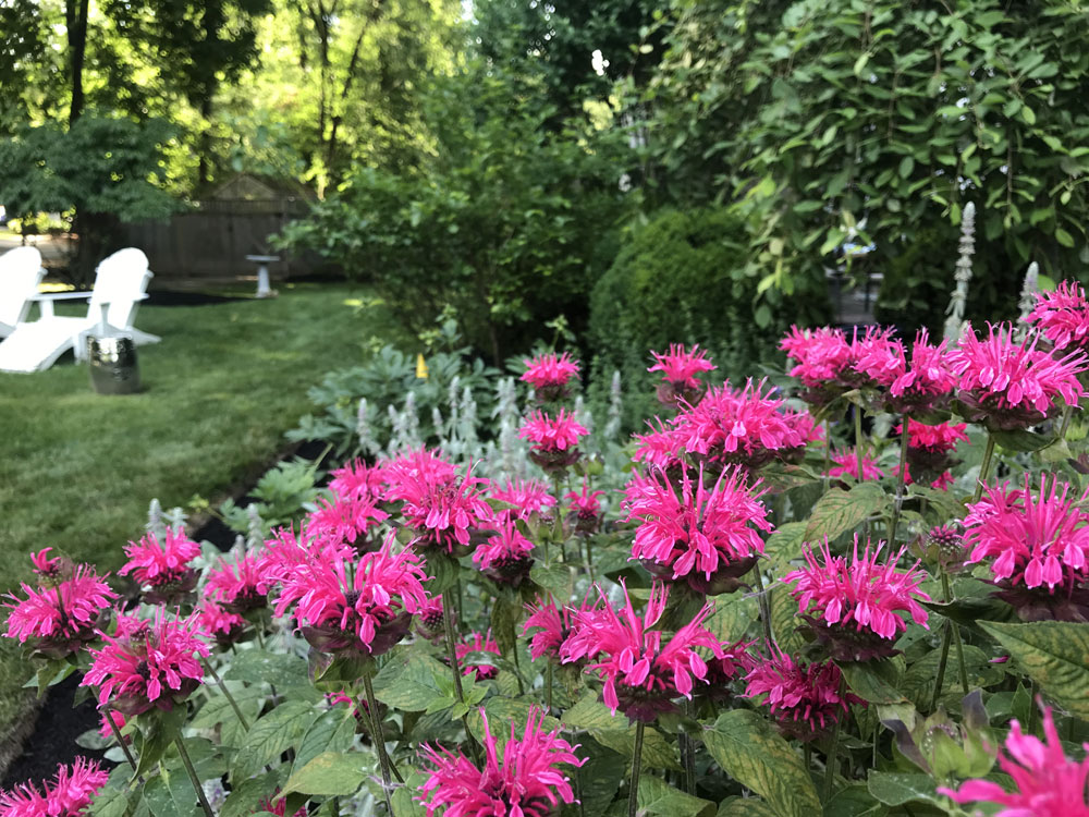 Flower bed gardening