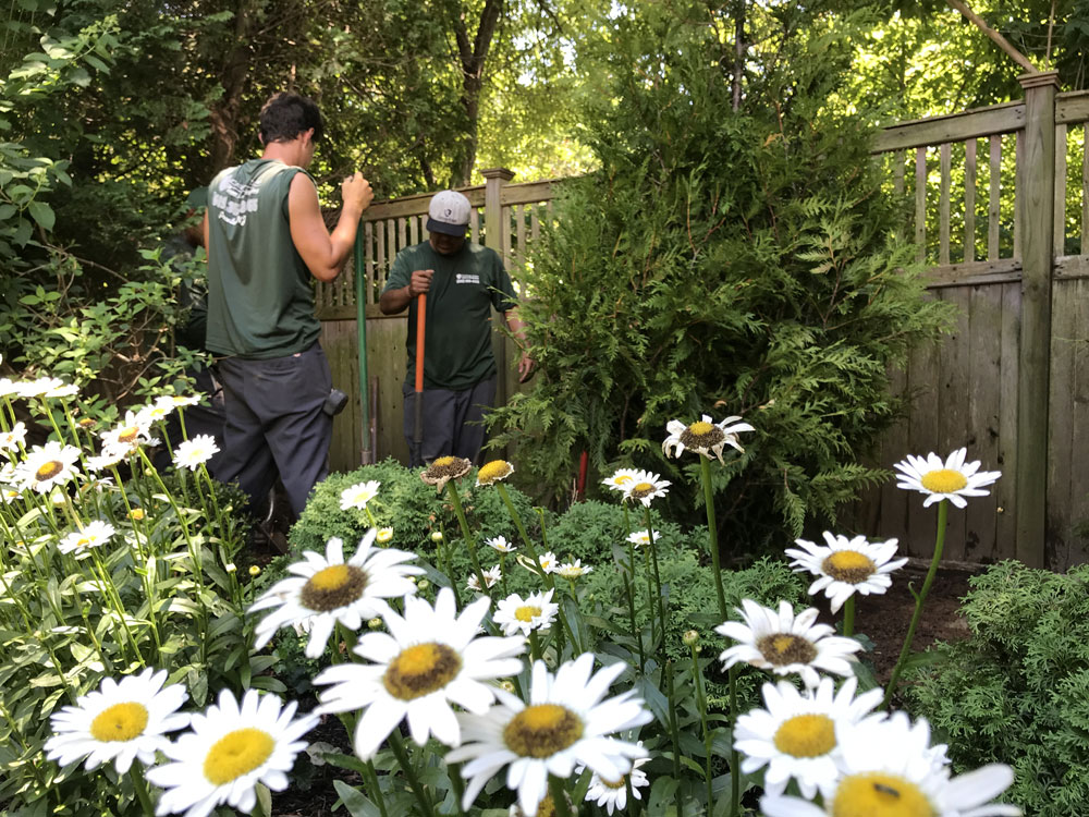 Planting flowers in Princeton NJ