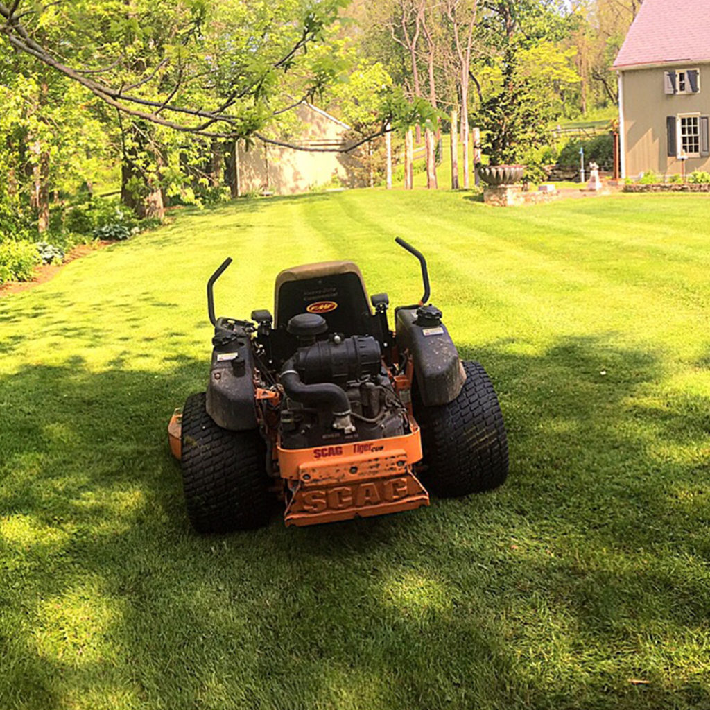 Landscaping maintenance