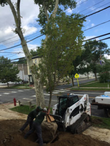 Landscaping Pennington NJ