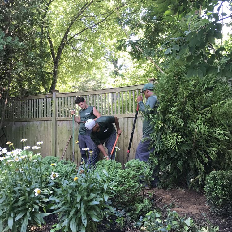 Garden planting in Princeton NJ