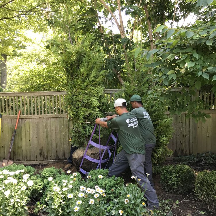 Garden planting in Pennington NJ