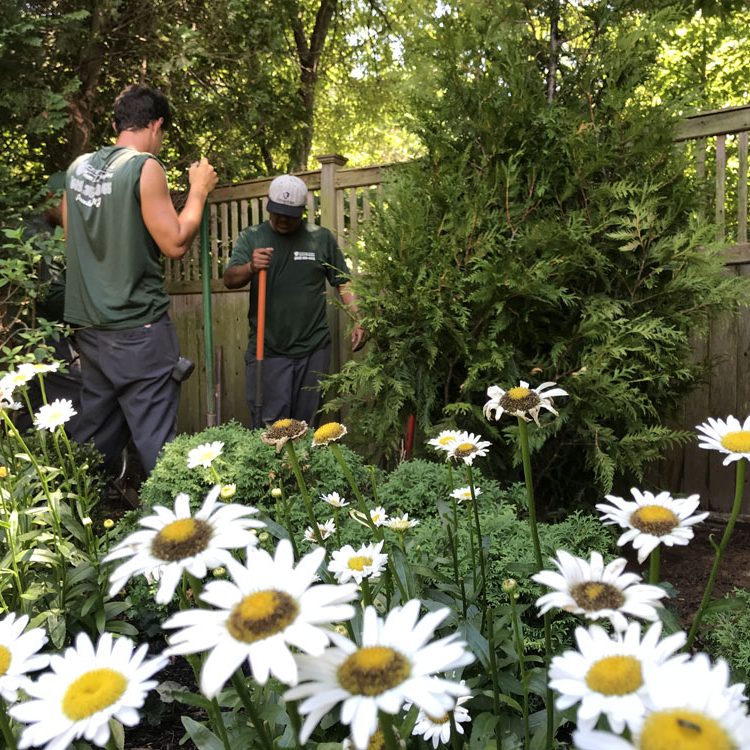 Planting flowers in Princeton NJ