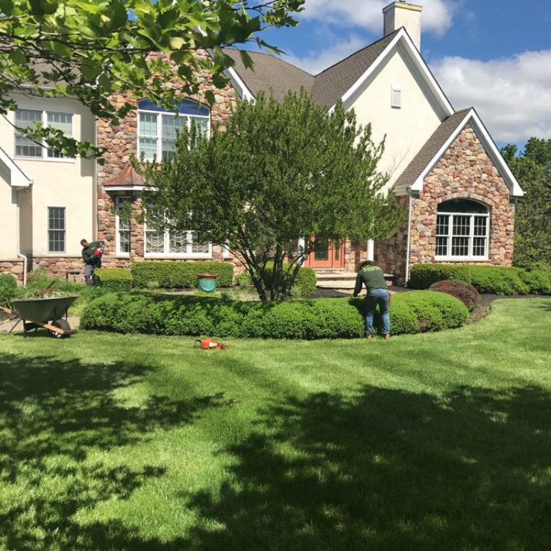 Pennington Landscape maintenance